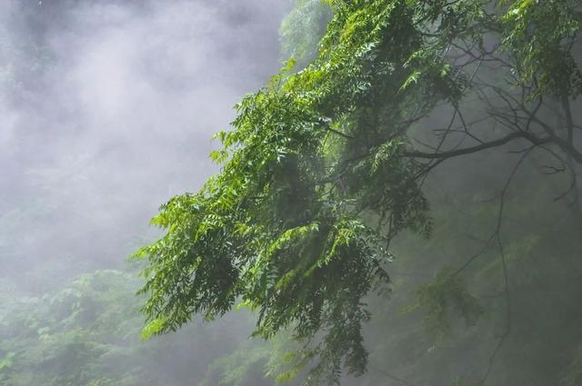 什么是八卦，为什么说八卦就是易经，易经就是八卦，如何学好八卦-8.jpg