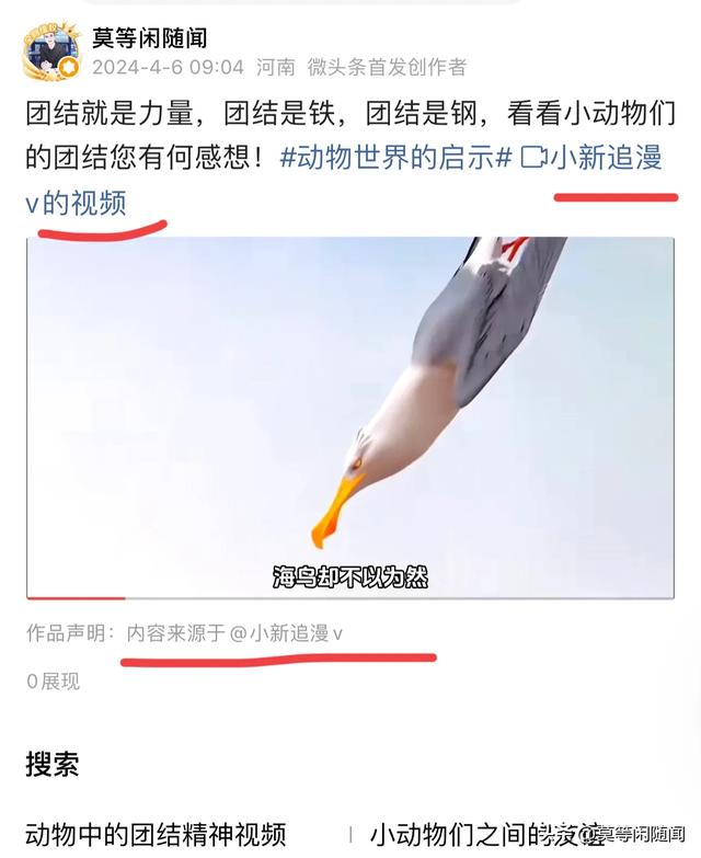 头条里的“引用视频”，如何正确使用你会吗？-10.jpg