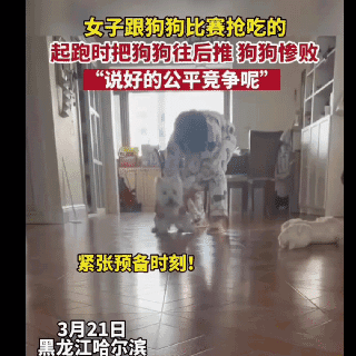 “50张”搞笑图片，专治不开心，你能坚持到第几图不笑?-15.jpg