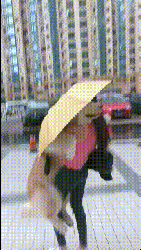 笑到肚子疼，37张搞笑动图，哥们裤子不合身就别穿出来了！挺尴尬-33.jpg
