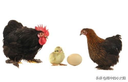 11个经典笑话：最后一个很解气-1.jpg