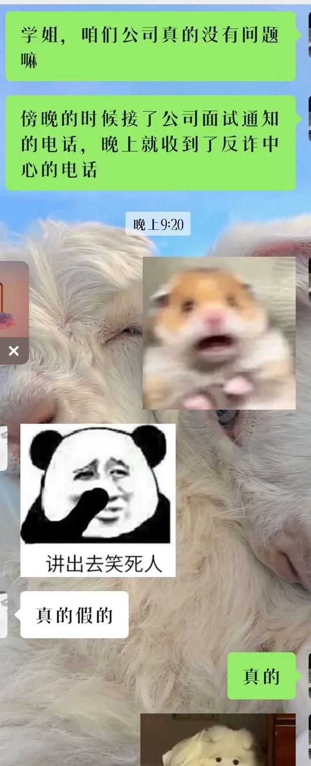真有意思！36张搞笑图片，专治不开心，你被第几张逗笑了？-33.jpg