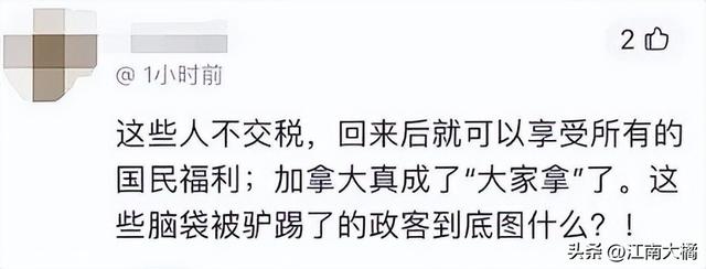 史无前例！加拿大官宣无条件送国籍，400万人受益！-7.jpg