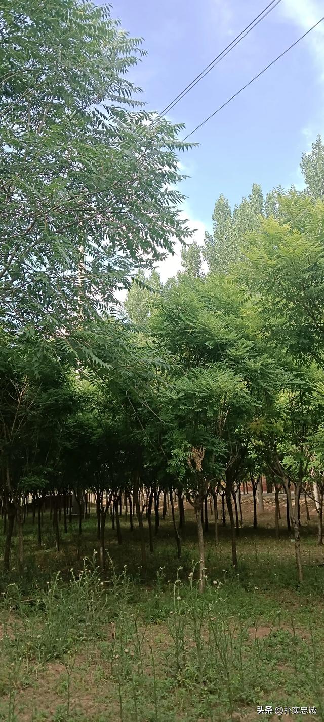 头条对社会贡献值，远大于很多媒体。-2.jpg