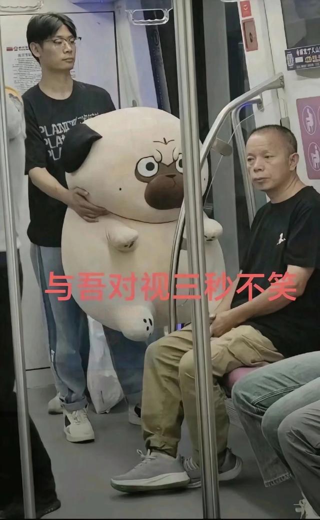 30 张让人越看越觉得搞笑的图片，简直要把人笑“死”了。最后一张-10.jpg
