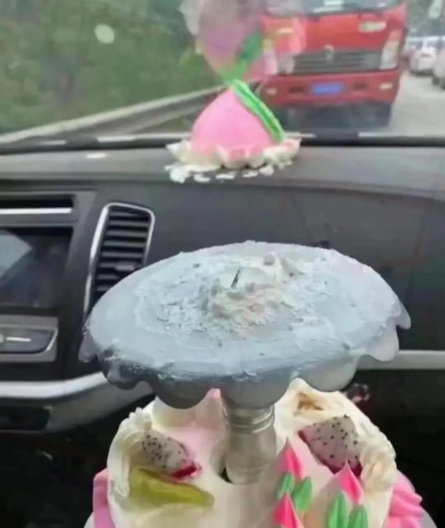 30 张让人越看越觉得搞笑的图片，简直要把人笑“死”了。最后一张-25.jpg