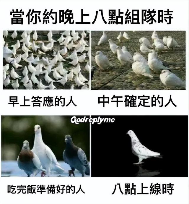 20张搞笑图片，笑得鼻涕泡都出来了-3.jpg