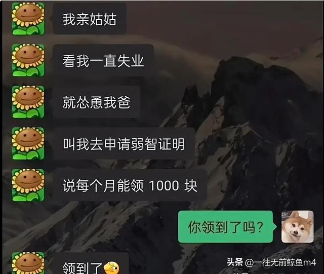 20张搞笑图片，笑得鼻涕泡都出来了-13.jpg
