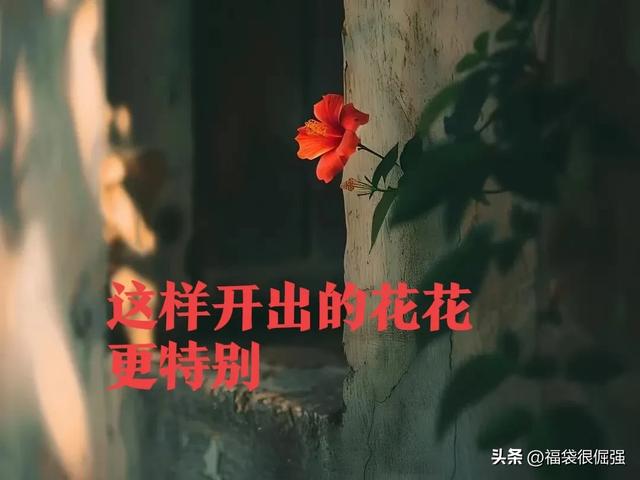 头条写作，有很多坑，但很多坑是自己挖的，你别不信-6.jpg