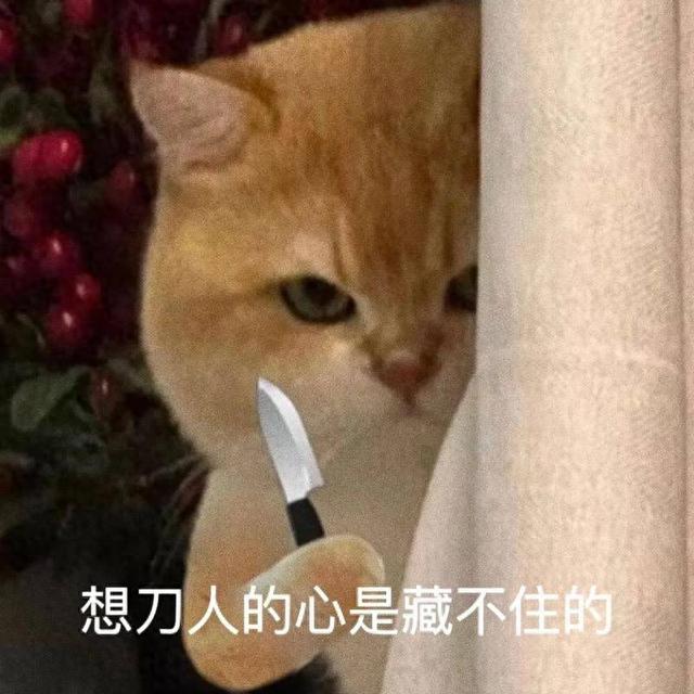 笑话十条： 跟老公搬家的事，闹掰了-1.jpg