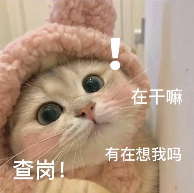 笑话十条：这次我救了你一命，你能救我一命吗？-3.jpg