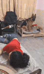 搞笑图片18张，逗得你哈哈大笑，赶走emo不开心，你笑了吗？-16.jpg