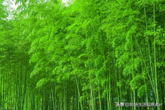 发现个现象，很有意思，头条粉丝数的增长竟然呈现出“S”型曲线-3.jpg