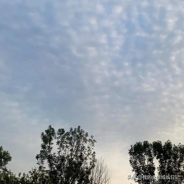 头条创作近一年，最近三个月，每天收益几毛钱，我还要坚持下去吗-2.jpg