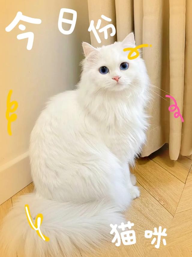 写头条，还没有找到诀窍吗？过来，我教你！-1.jpg