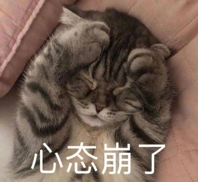 普通人发头条该怎么发-2.jpg