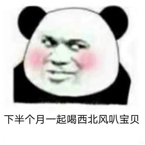 搞笑表情包-9.jpg