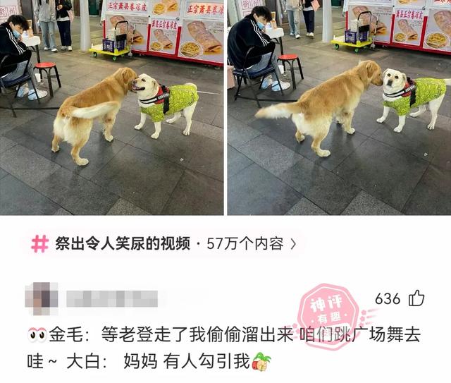 搞笑来袭！盘点网友的那些爆笑神评论，看完直接笑出八块腹肌哈哈-5.jpg