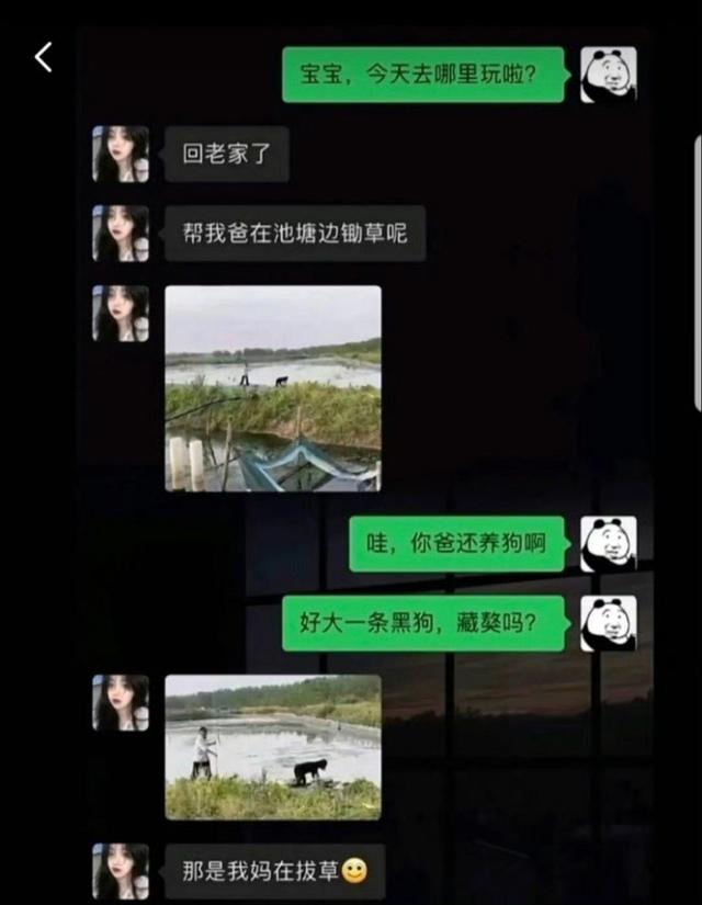 20条笑到岔气的笑话-12.jpg