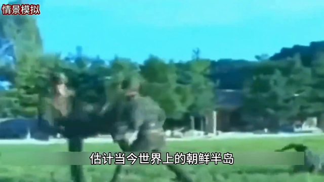 朝鲜和韩国，谁的军事实力更胜一筹？-2.jpg