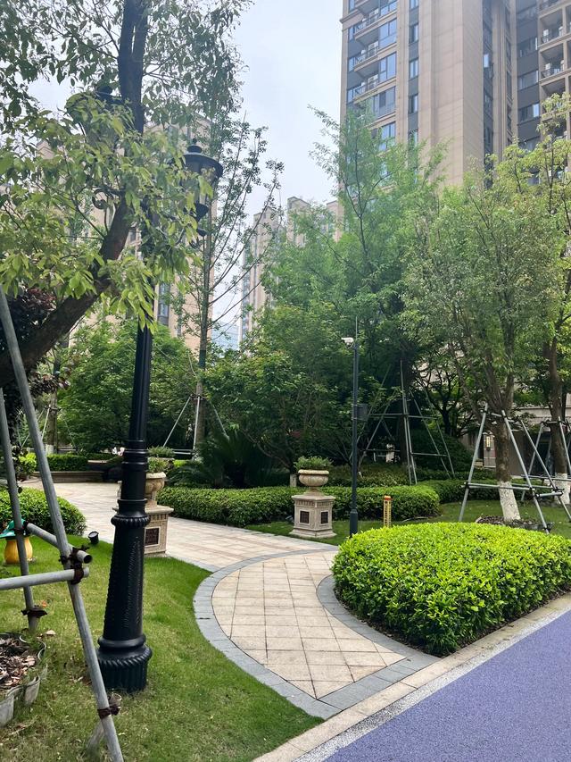 头条和作者，其实就是周瑜打黄盖，一个愿打一个愿挨-1.jpg