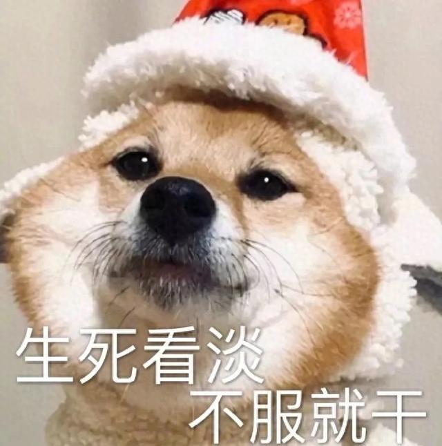 专治不开心||十秒笑到岔气的搞笑段子-1.jpg