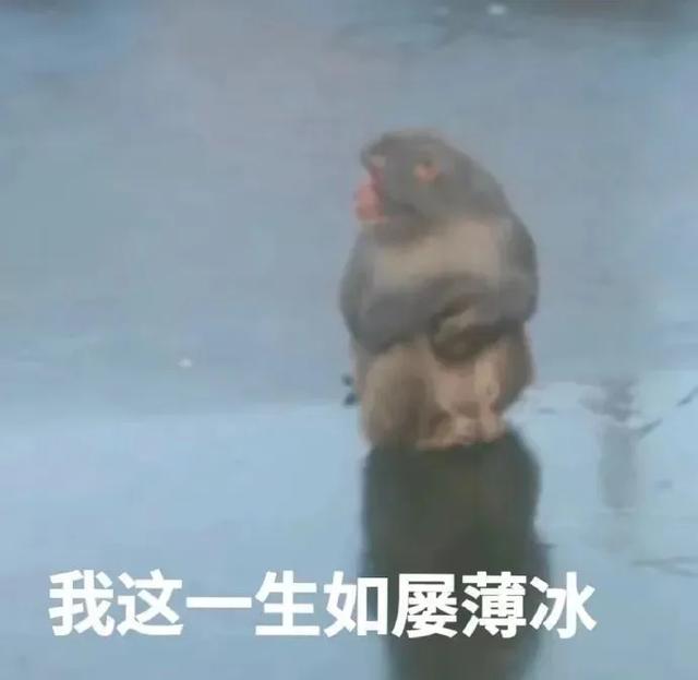 专治不开心||十秒笑到岔气的搞笑段子-3.jpg