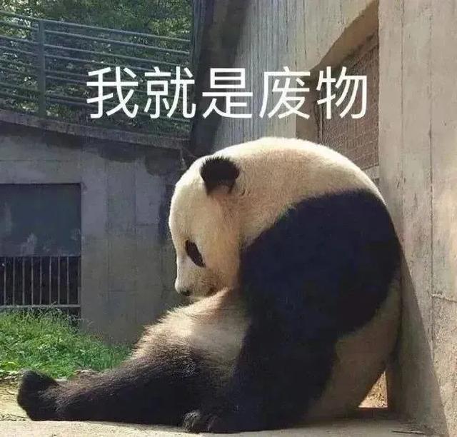 专治不开心||十秒笑到岔气的搞笑段子-7.jpg