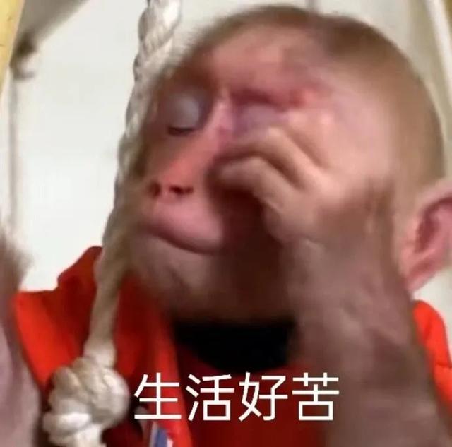 专治不开心||十秒笑到岔气的搞笑段子-10.jpg