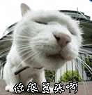 专治不开心||十秒笑到岔气的搞笑段子-14.jpg