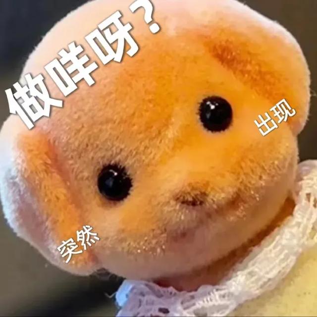专治不开心||十秒笑到岔气的搞笑段子-19.jpg
