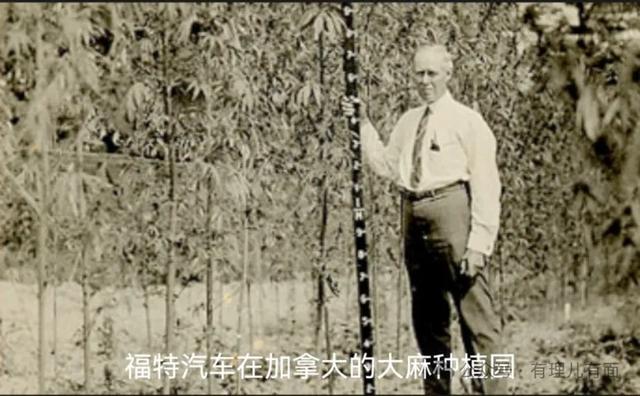 加拿大和美国又闹翻了-5.jpg