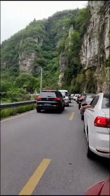 开心每天，50组搞笑动图，大半夜，取钱，要去叫醒它们吗？-1.jpg