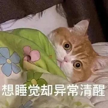 搞笑实用表情包-3.jpg