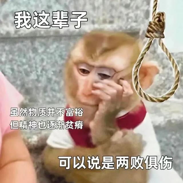 搞笑实用表情包-10.jpg