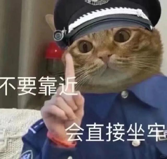 搞笑实用表情包-11.jpg