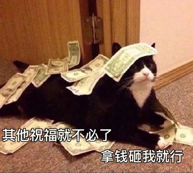 搞笑实用表情包-13.jpg
