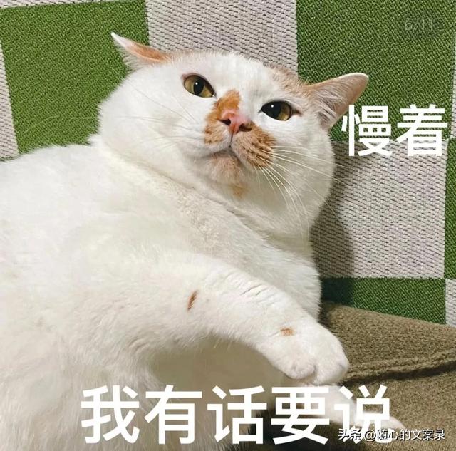 笑到腿软的搞笑句子，笑一笑十年少-1.jpg