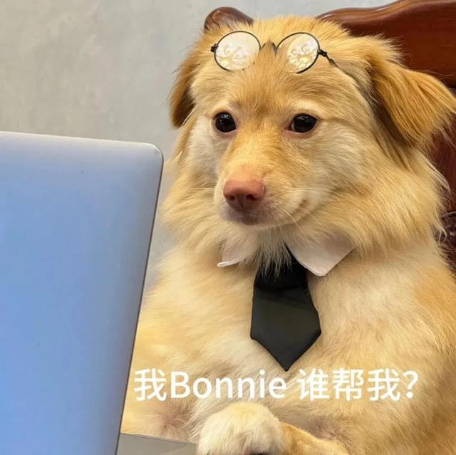 笑掉大牙的搞笑段子，幽默逗趣，史上最强-2.jpg