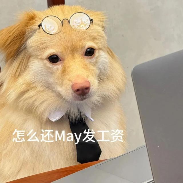 笑掉大牙的搞笑段子，幽默逗趣，史上最强-3.jpg