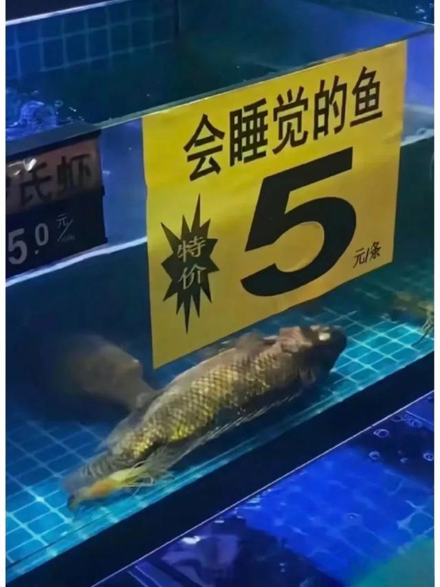 有哪些令人捧腹的搞笑图片？一看就忍不住想笑那种-3.jpg