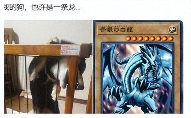 看一遍笑一遍，26张搞笑图片，我又双双双一次笑晕在厕所了-1.jpg