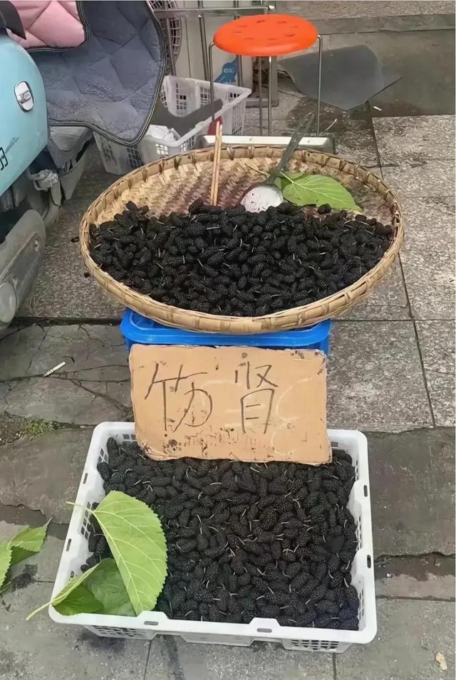 看一遍笑一遍，26张搞笑图片，我又双双双一次笑晕在厕所了-13.jpg