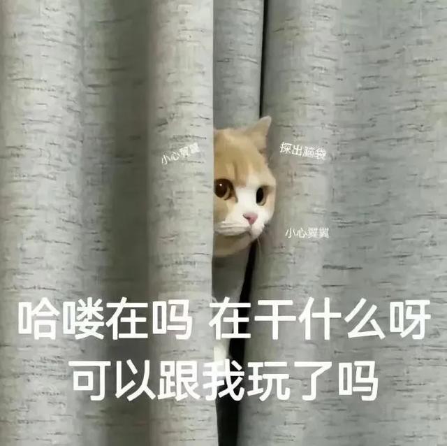 笑掉大牙的搞笑段子，幽默逗趣-5.jpg