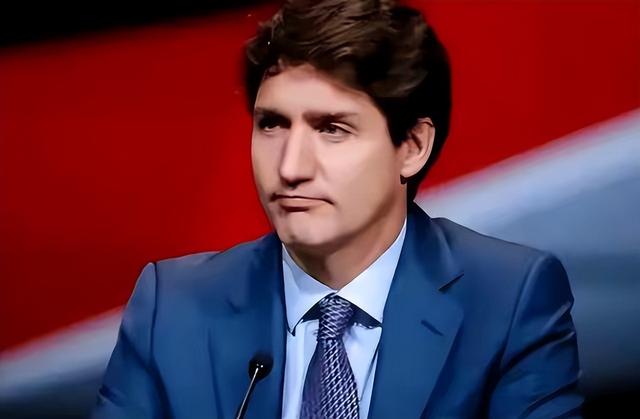 解气！加拿大连续挑衅我国，沉默5天后，我国重拳出手了，不简单-5.jpg