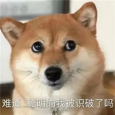 搞笑段子：笑掉大牙的诙谐段子，趣味十足，幽默到没朋友-2.jpg