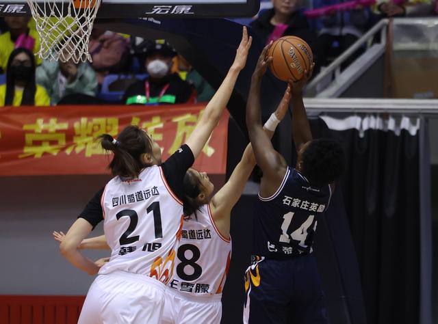 #（体育）篮球——WCBA常规赛：石家庄英励不敌四川蜀道远达-8.jpg
