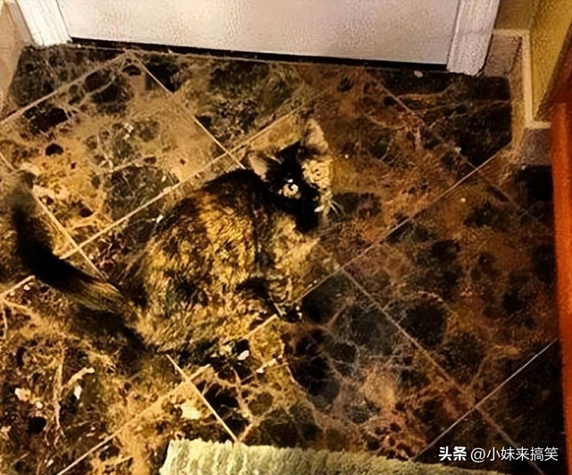 每天一笑，50张搞笑动图：这就是开学第一天的威力吗？-42.jpg