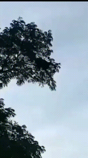 每天一笑，50张搞笑动图：三个感叹号，是他最后的警告！-26.jpg