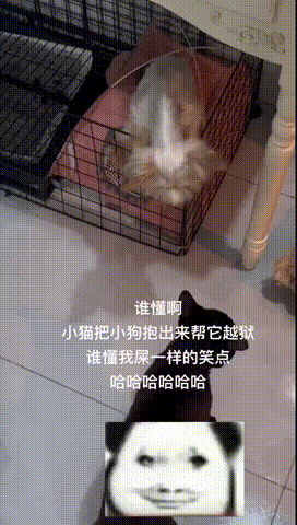 每天一笑，50张搞笑动图：三个感叹号，是他最后的警告！-47.jpg
